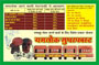gayatri pariwar, vyasan mukti abhiyan