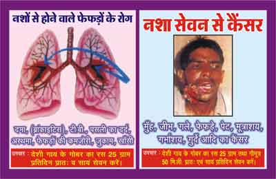 poster, gayatri, gayatri pariwar, vyasan mukti abhiyan, vatika, addict